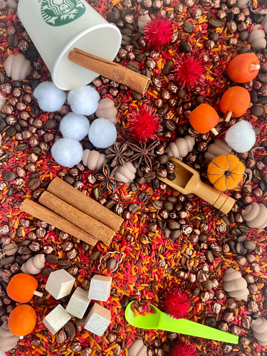 Autumn Pumpkin Spice Late Sensory Rice Kit