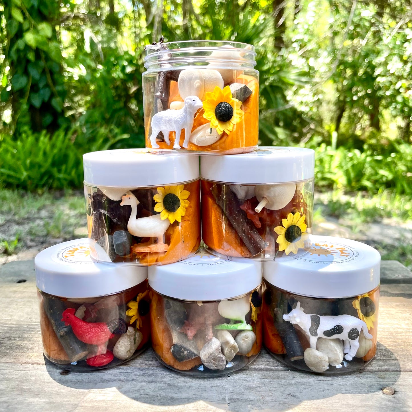 Custom Dough to Go Jars & Party Favors