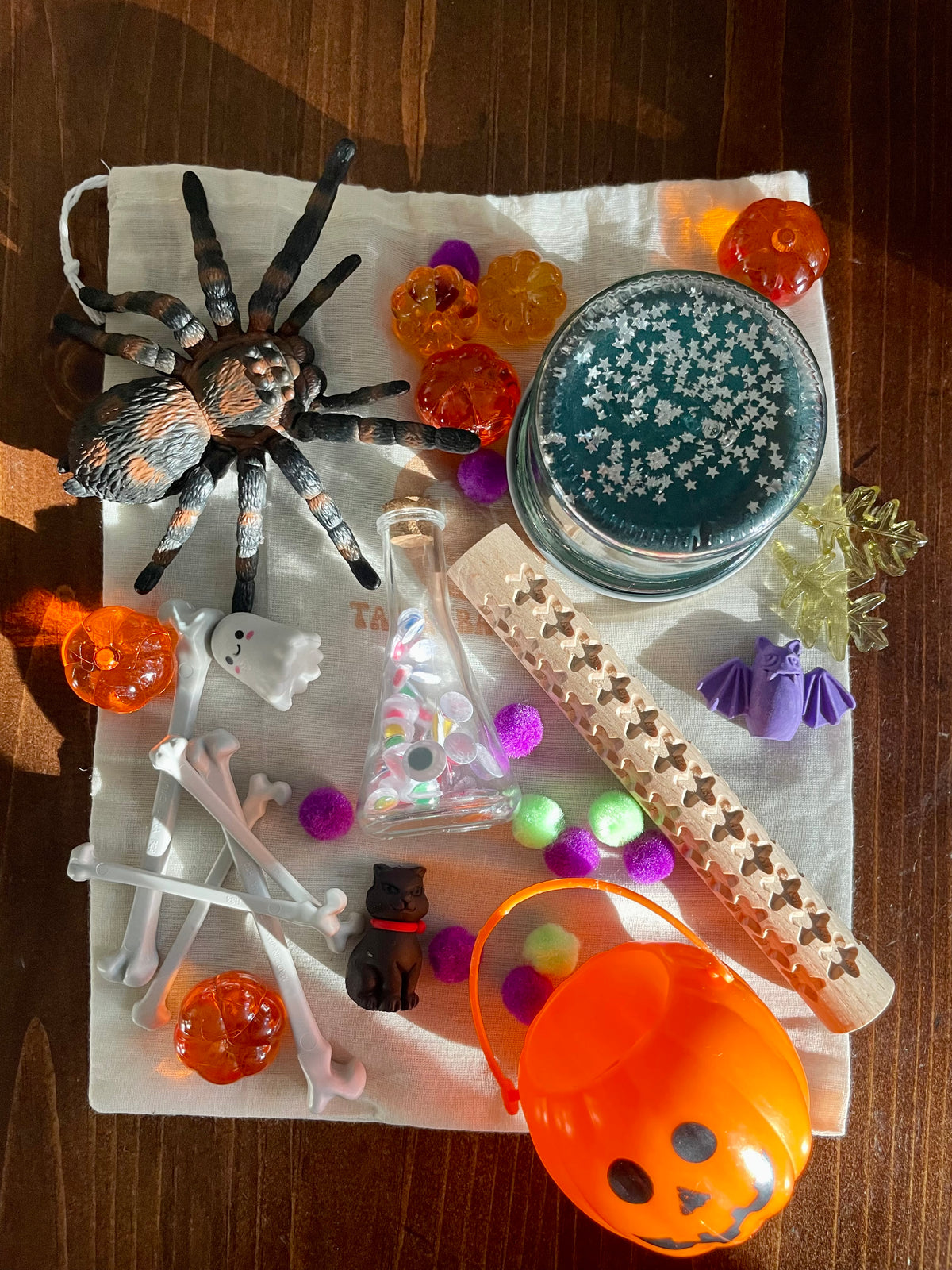 Busy Bag Play Dough Kit- Halloween