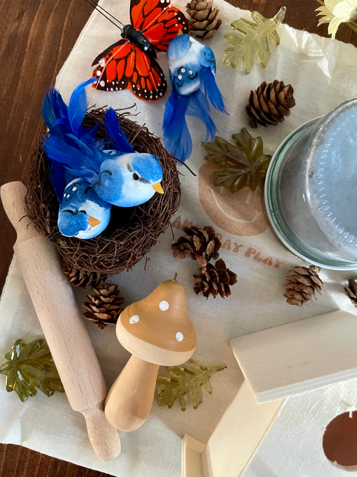 Busy Bag Play Dough Kit- Bird Watcher
