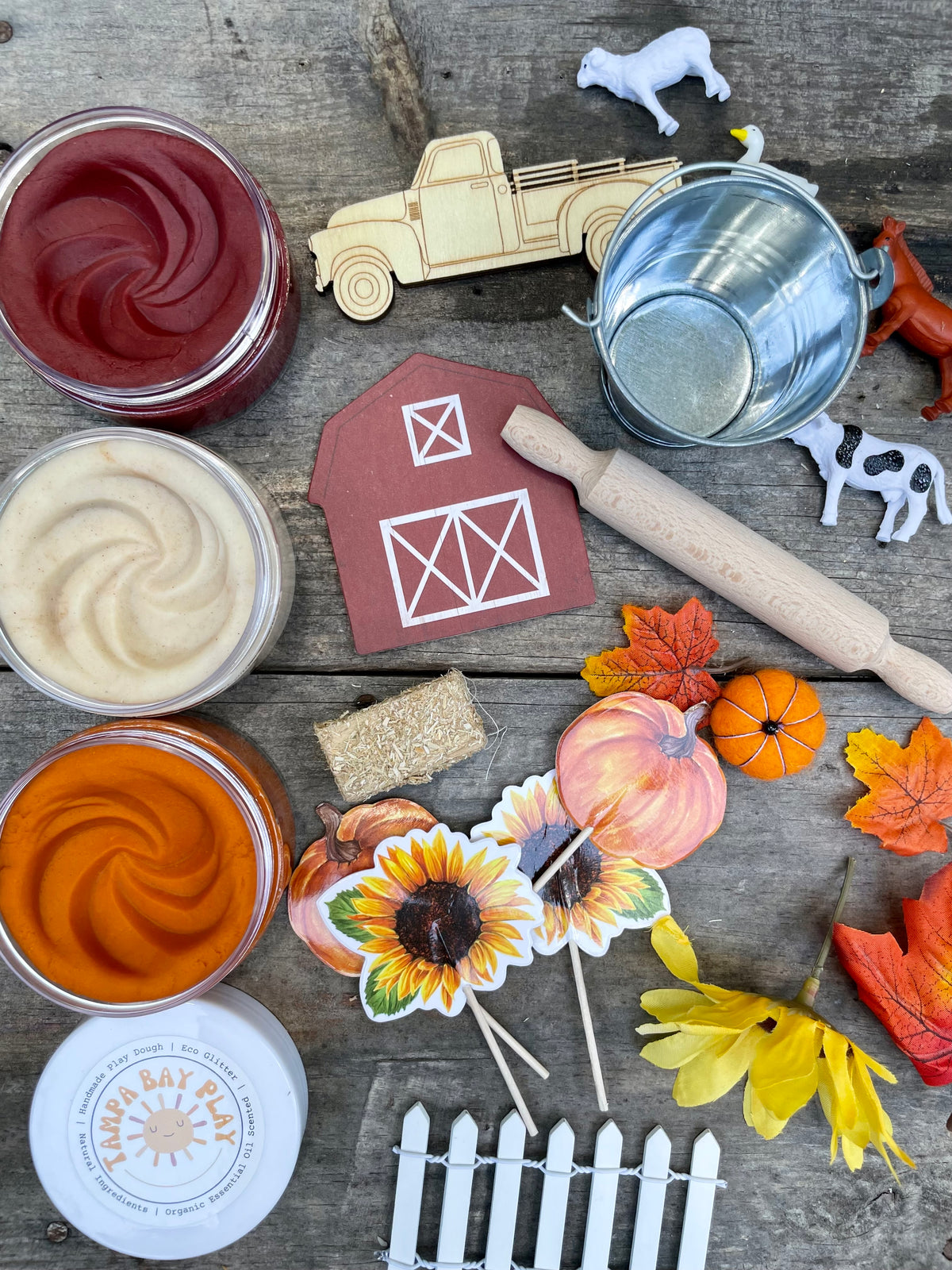 Farm Play Dough Kit