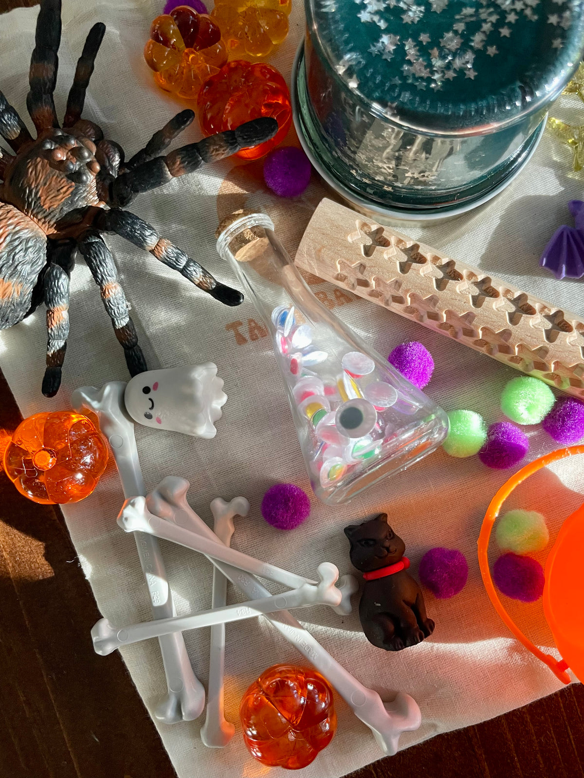 Busy Bag Play Dough Kit- Halloween