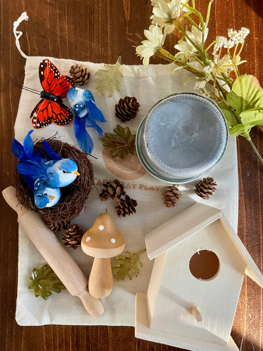 Busy Bag Play Dough Kit- Bird Watcher
