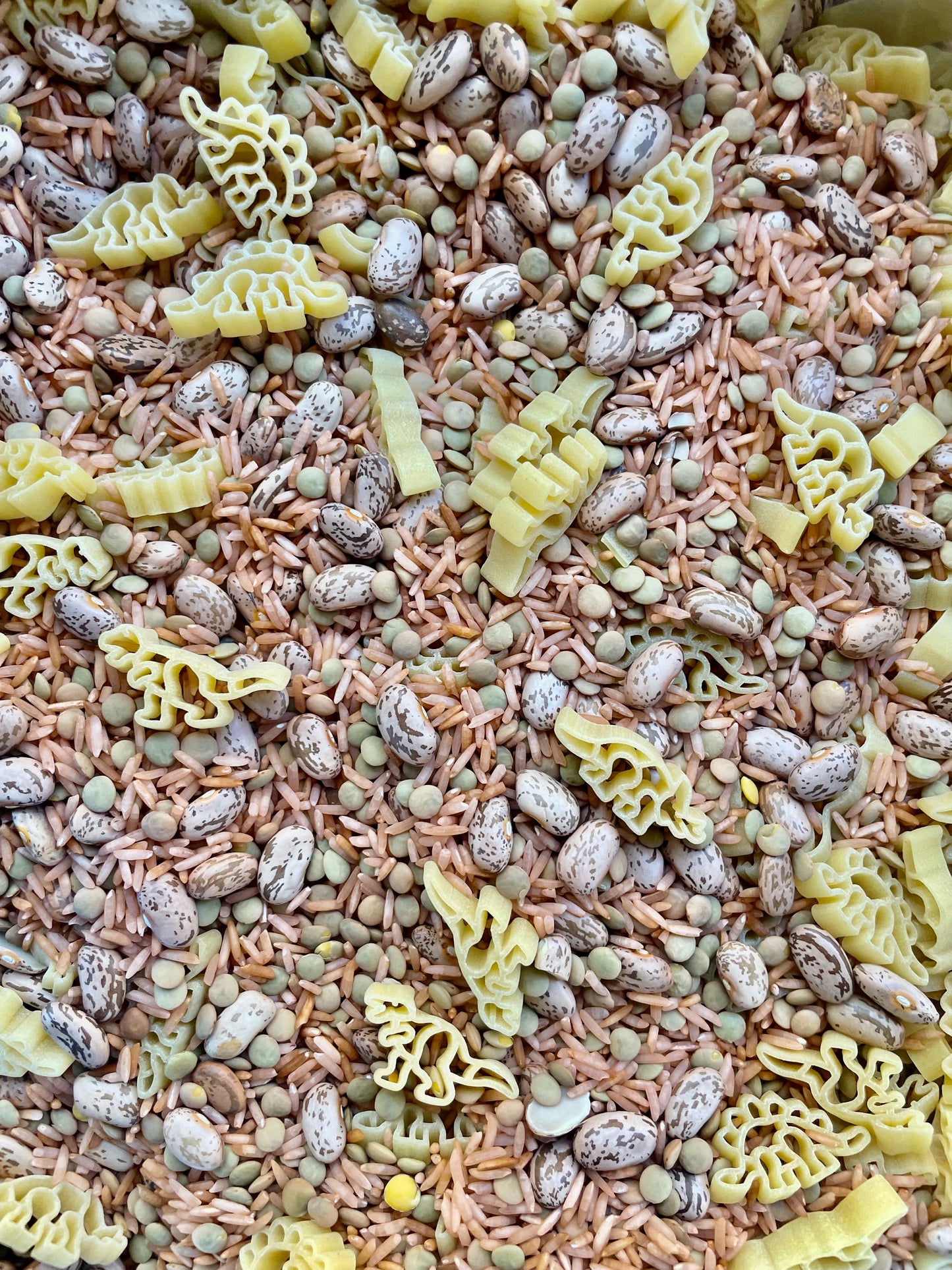 Sensory Rice- Dinosaur Dig