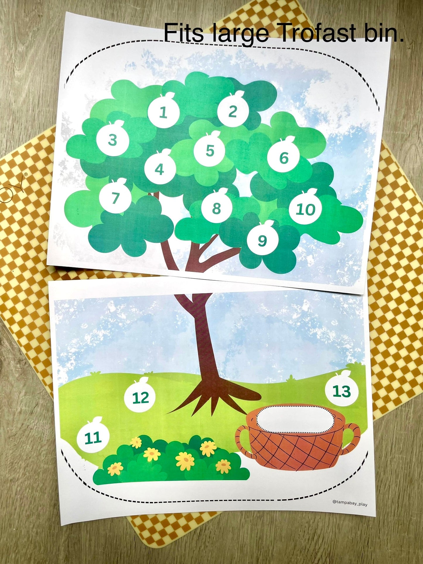 Printable Flisat Trofast Bin Insert- Orange Grove