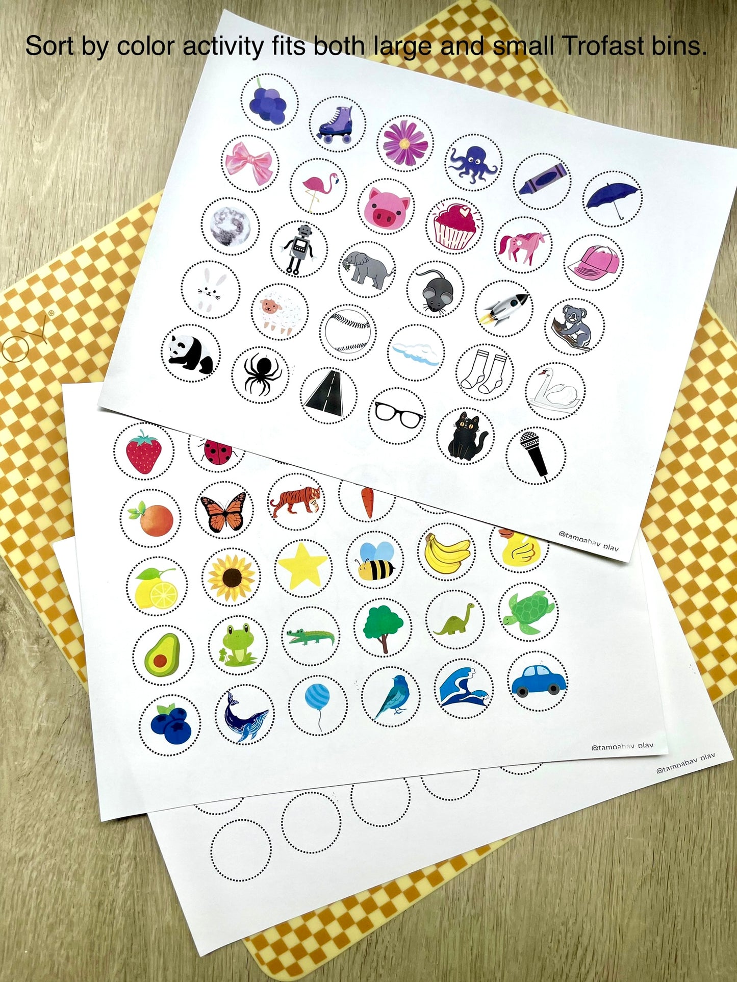 Printable Flisat Trofast Bin Insert- Color Sorting