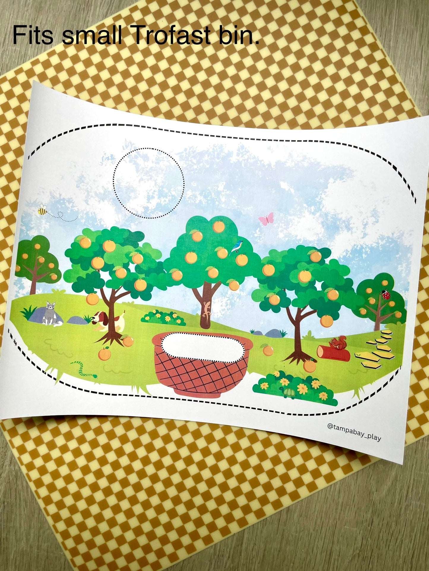 Printable Flisat Trofast Bin Insert- Orange Grove